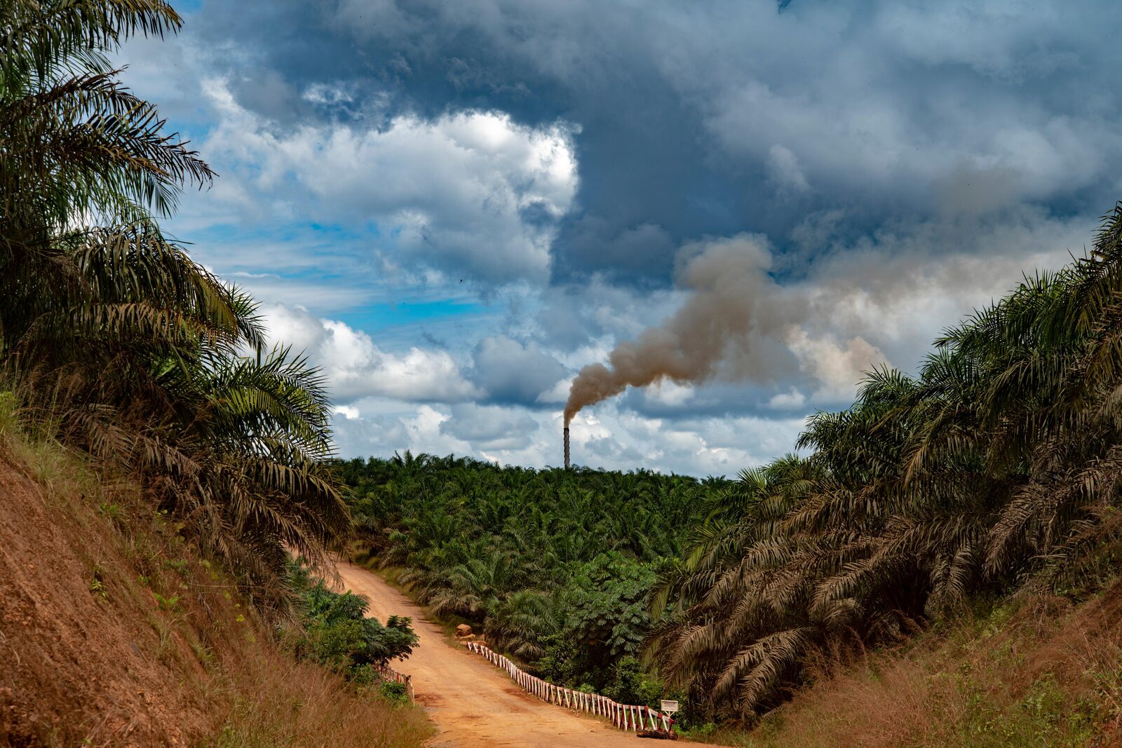 Supply chain and the hidden water footprint of business